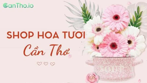 Shop hoa tươi Cần Thơ - Top 16 cửa hàng hoa đẹp (2022)