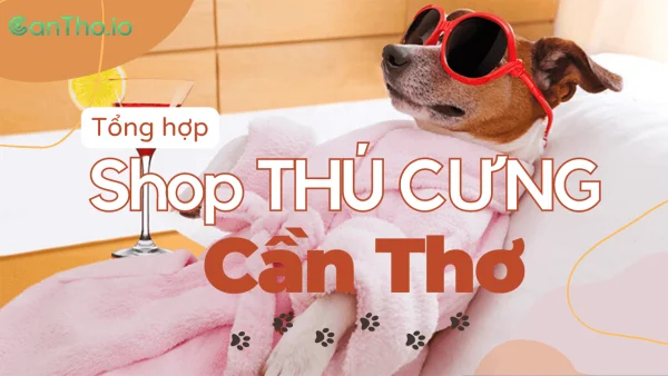 Tổng hợp 12 shop thú cưng Cần Thơ uy tín, giá tốt nhất