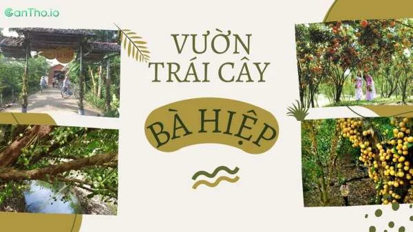 Vườn trái cây Bà Hiệp - Thiên đường trái ngọt miền Tây