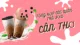 Trà sữa Cần Thơ - Gợi ý các quán trà sữa ngon mê ly