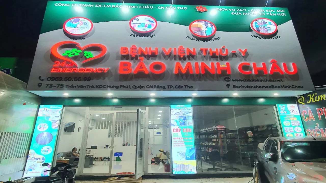 benh-vien-thu-y-bao-minh-chau