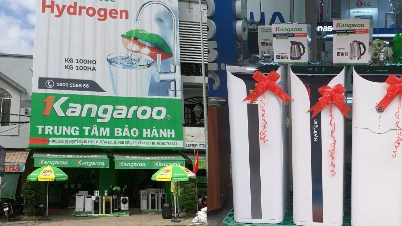 Hệ thống phân phối Kangaroo Cần Thơ