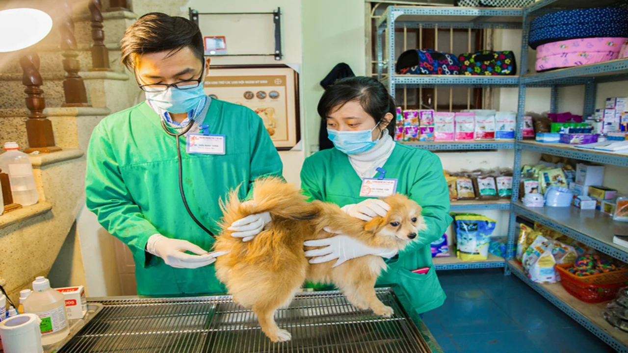 Phòng khám thú y Cần Thơ Petplus