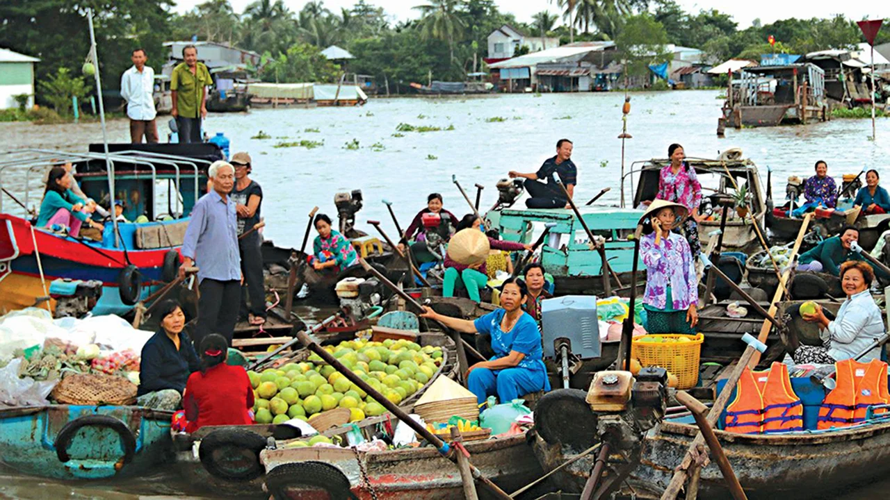 Cây bẹo chợ nổi