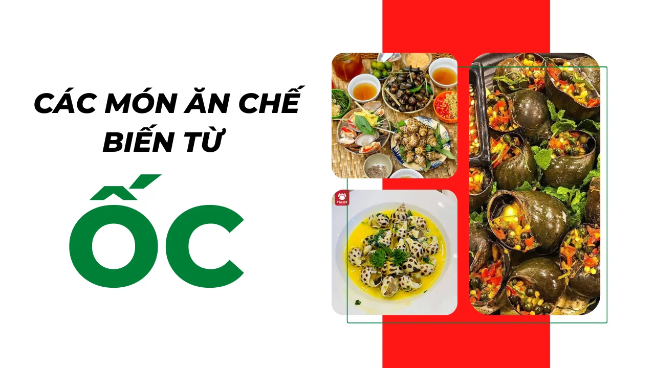 Đi du lịch Cần Thơ ăn gì - ăn ốc ngay thôi