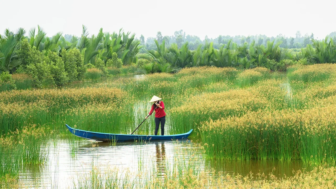 Kinh nghiệm du lịch Cần Thơ