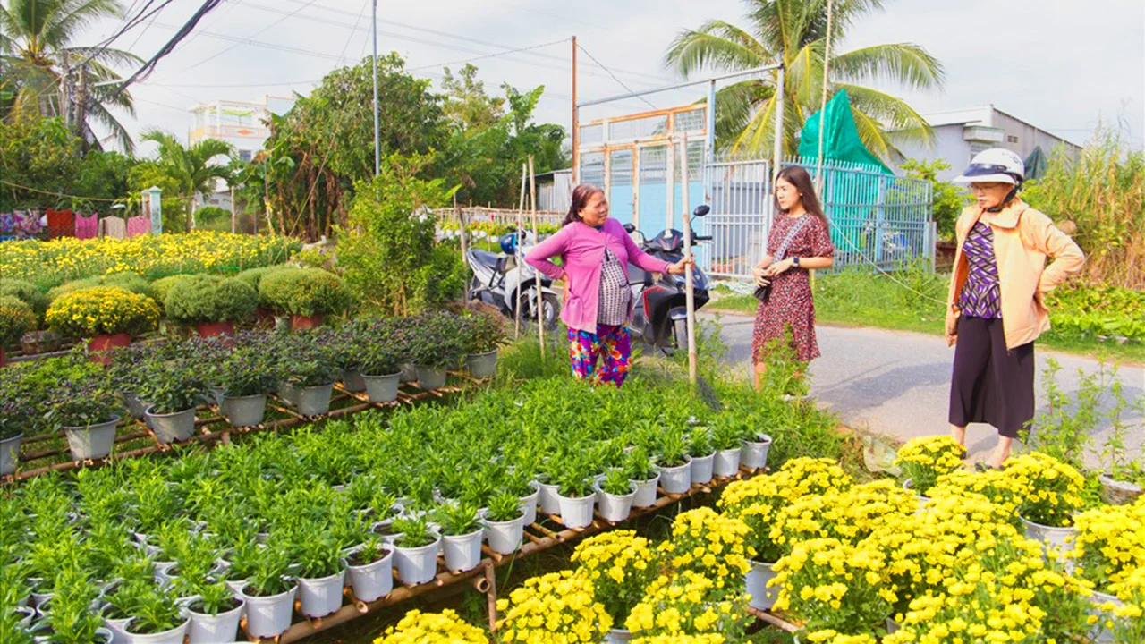 Làng hoa đẹp nhất Cần Thơ