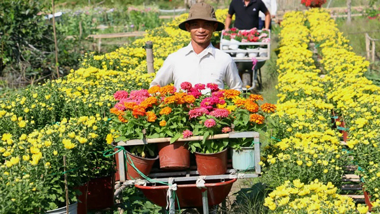 Làng hoa đẹp nhất Cần Thơ