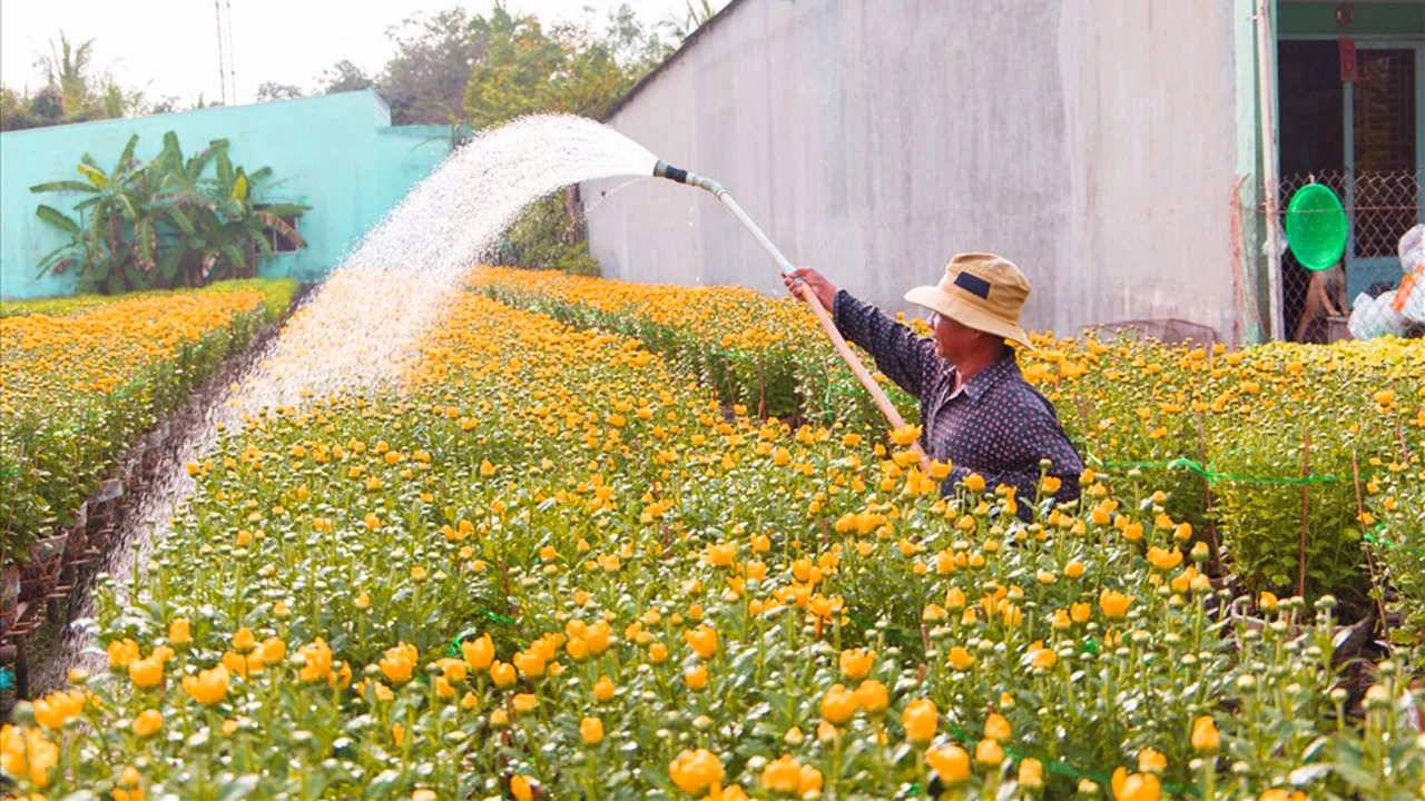 Vương quốc hoa