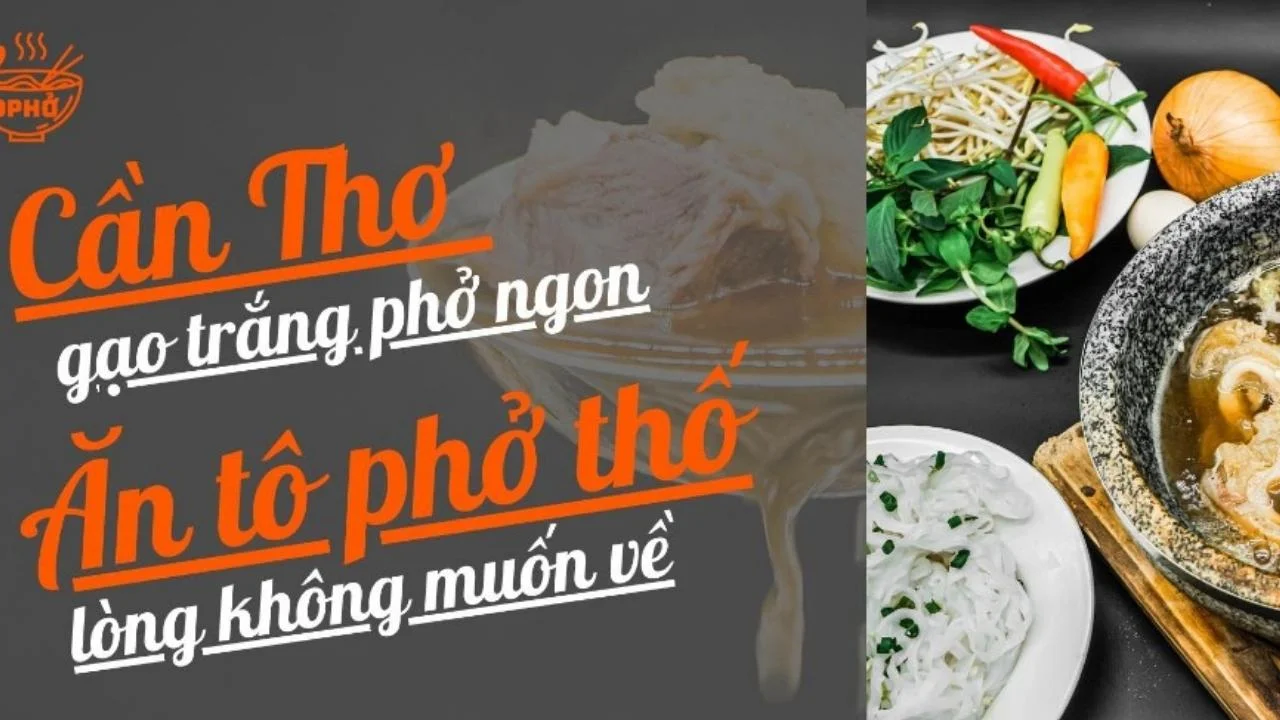 Phở thố đá Cần Thơ ngon không tưởng