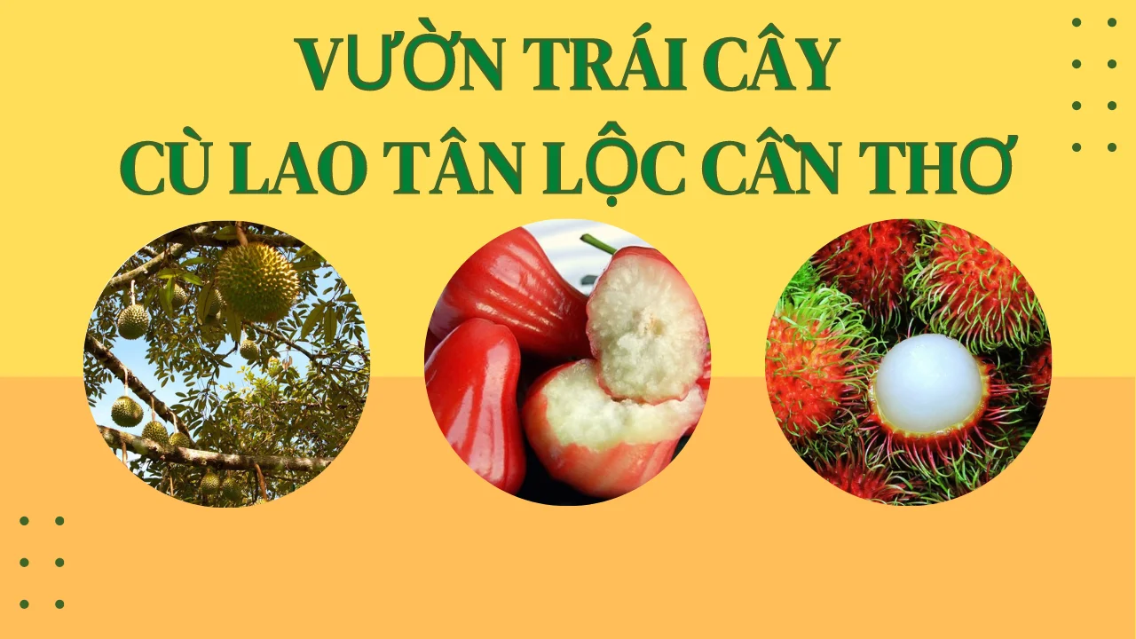 Vườn trái cây cù lao Tân Lộc