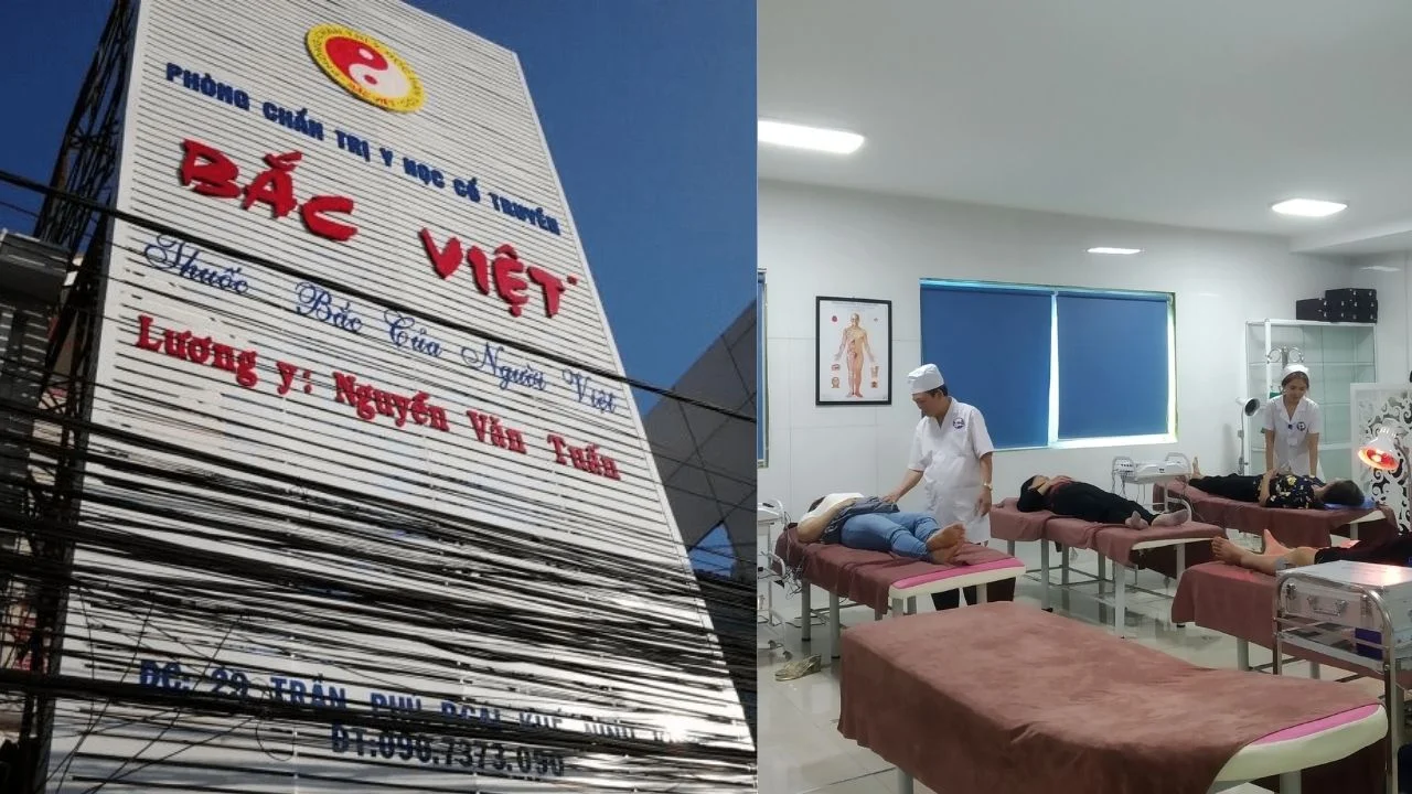 Công ty TNHH Y Học Cổ Truyền Bắc Việt